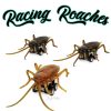 Gifts Archie McPhee | Racing Roaches