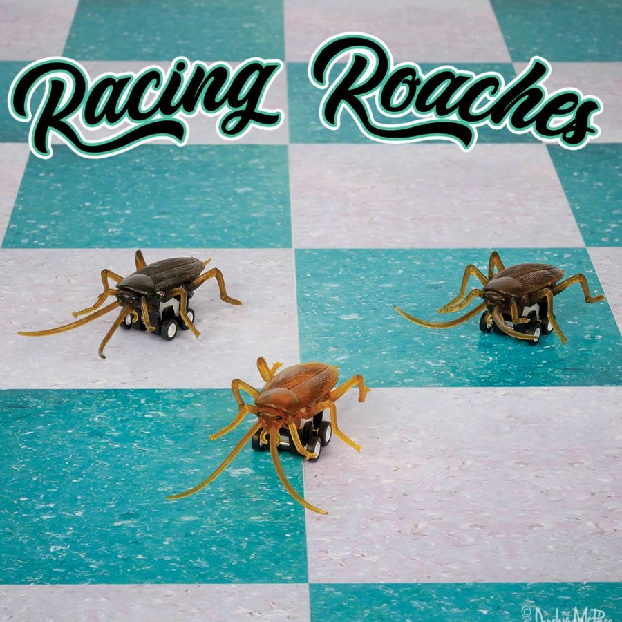 Gifts Archie McPhee | Racing Roaches