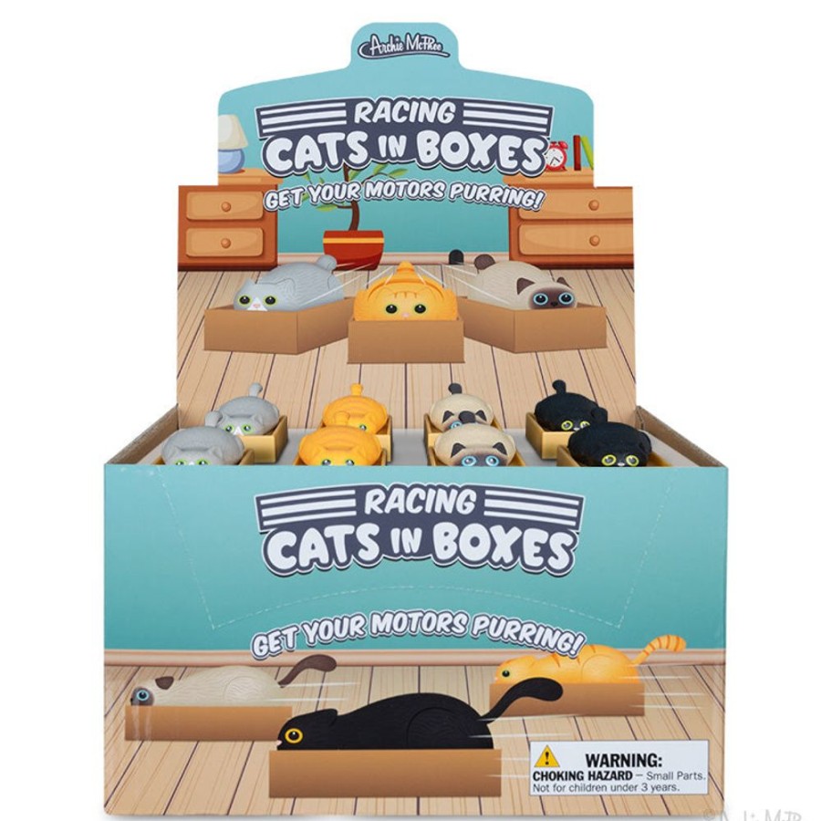 Gifts Archie McPhee | Racing Cats In Boxes Bulk Box