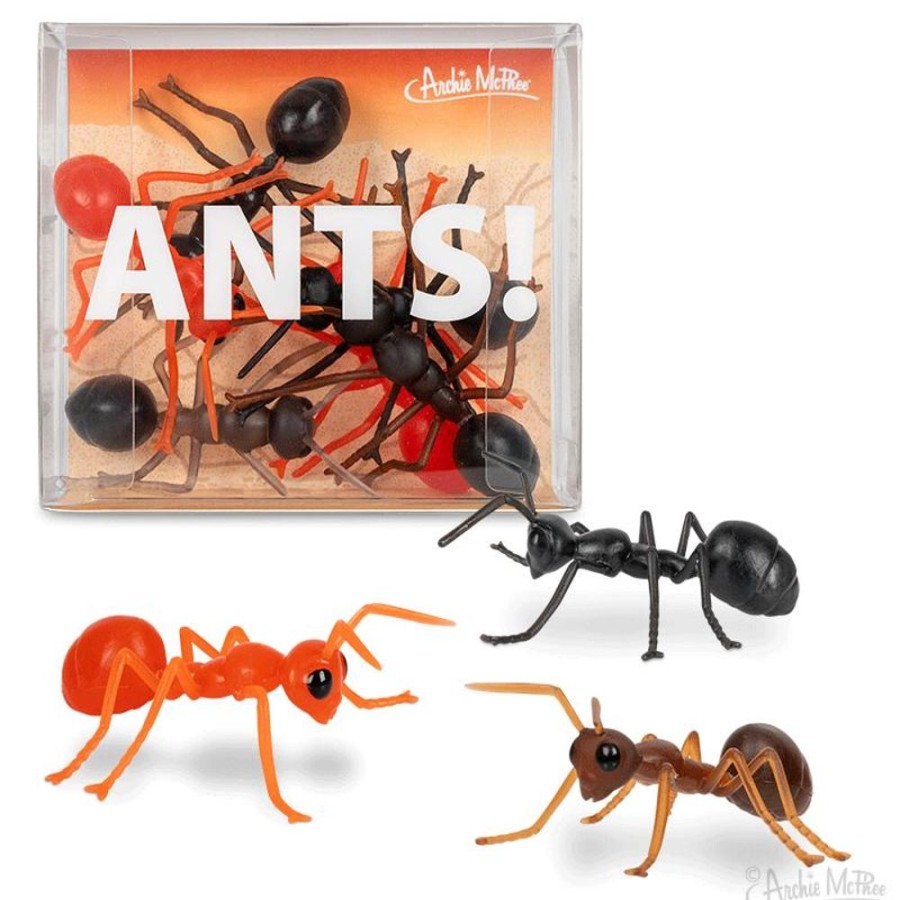 Gifts Archie McPhee | Ants!