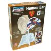 Fun Archie McPhee | Human Ear Model Kit