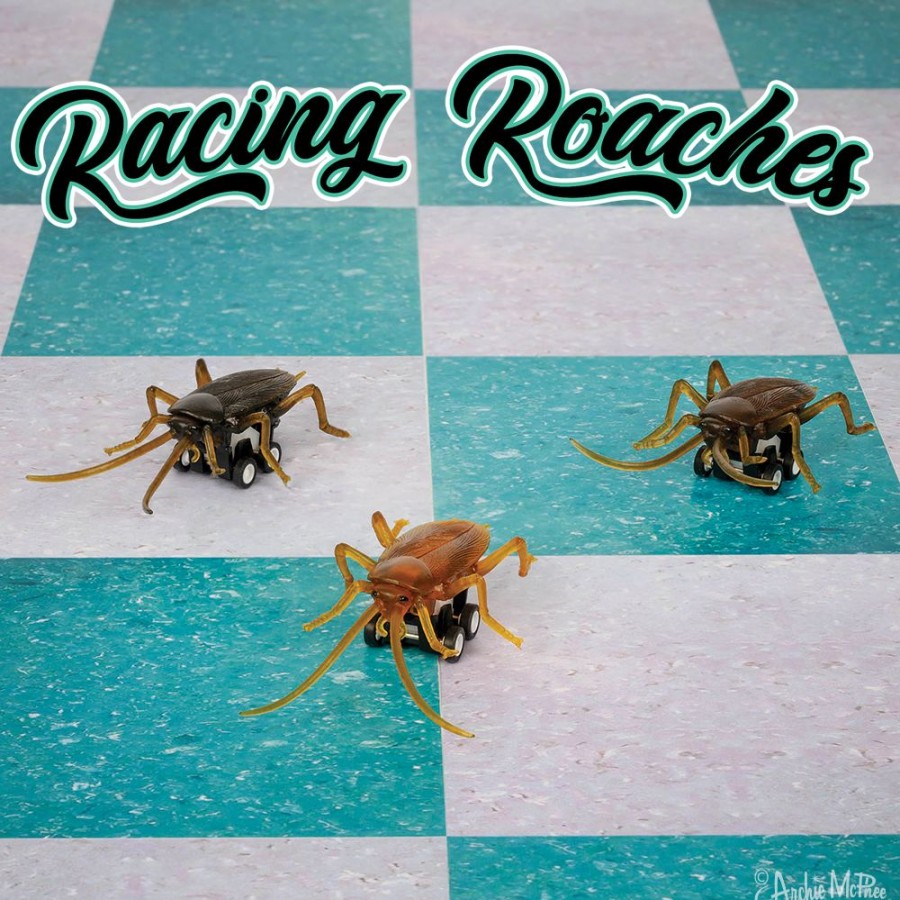 School & Office Archie McPhee | Racing Roaches