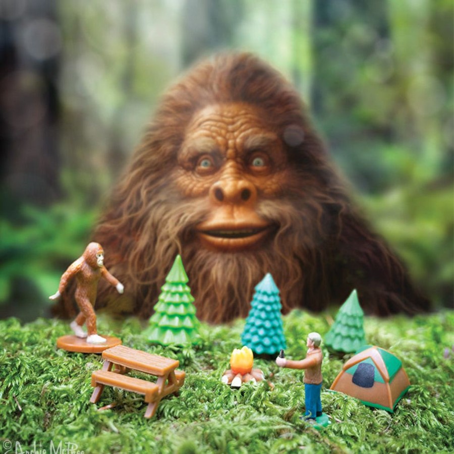 School & Office Archie McPhee | Bigfoot Basecamp