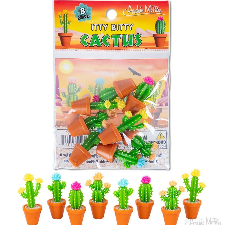 School & Office Archie McPhee | Itty Bitty Cactus