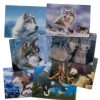 School & Office Archie McPhee | Rough And Tumble Lenticular Card Set