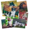 Fun Archie McPhee | Cute And Cuddly Lenticular Card Set