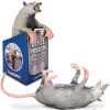 School & Office Archie McPhee | Office Possum