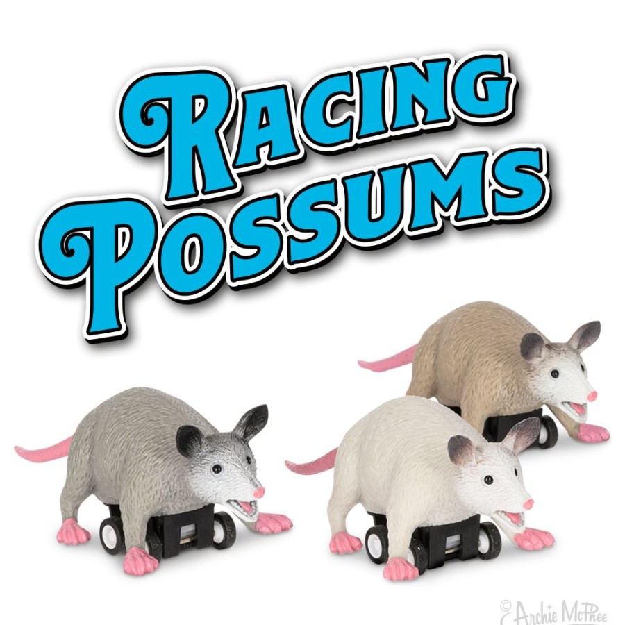 School & Office Archie McPhee | Racing Possums Bulk Box