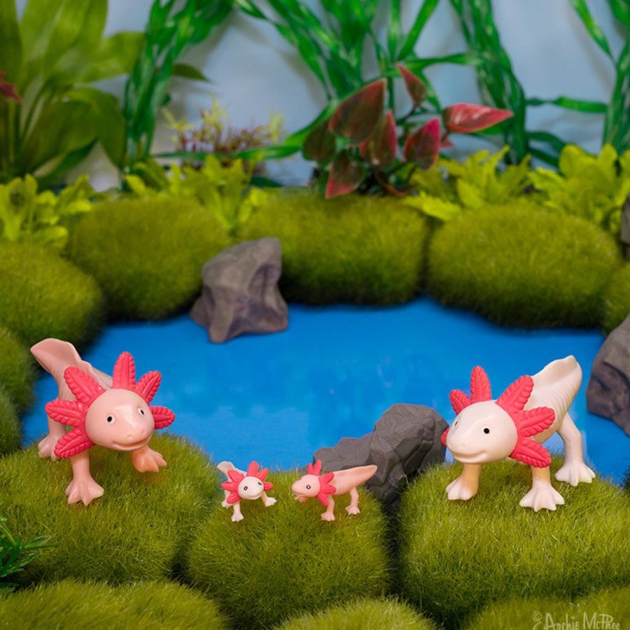 Gifts Archie McPhee | Box Of Axolotls