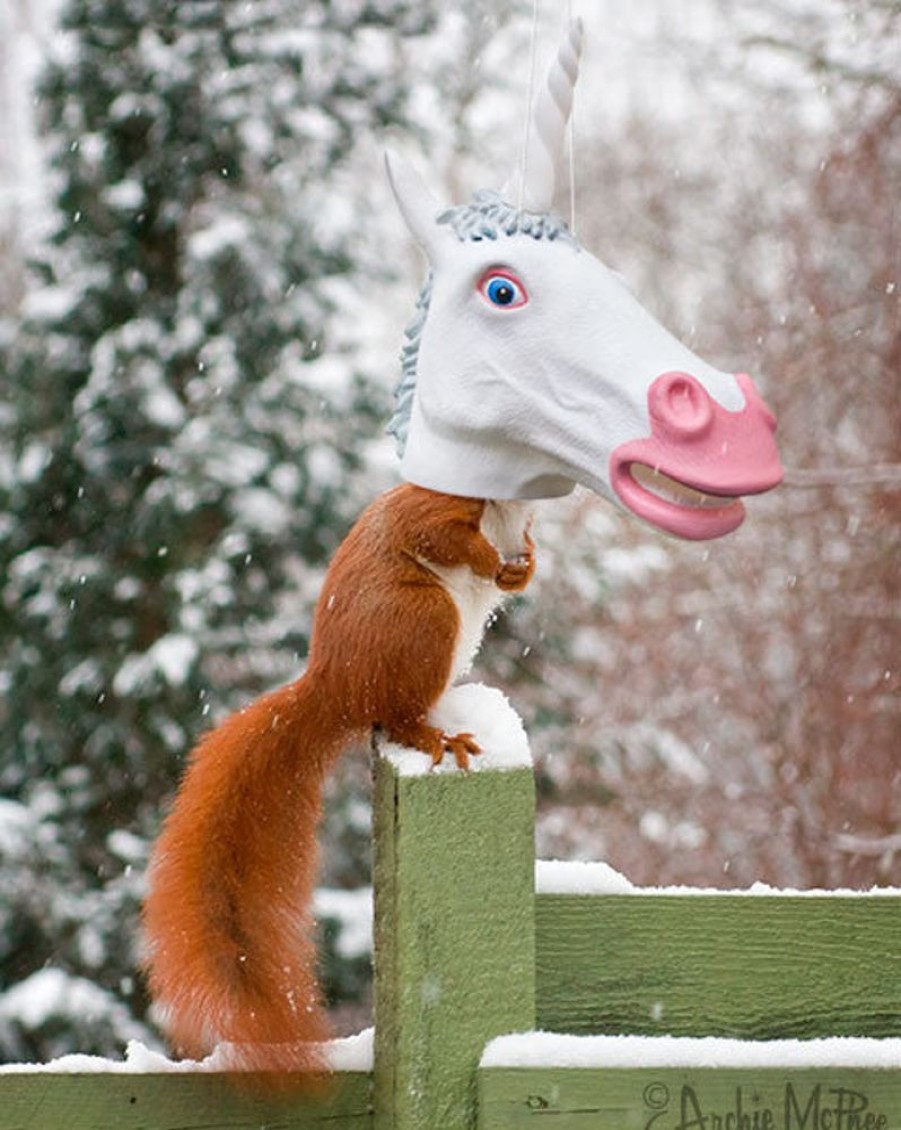 Fun Archie McPhee | Unicorn Squirrel Feeder